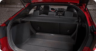 Cargo Cover