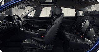 Comfortable Rear Seating