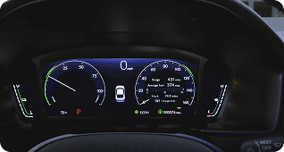 Driver Information Interface