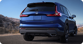 Dual Chrome Exhaust Finishers