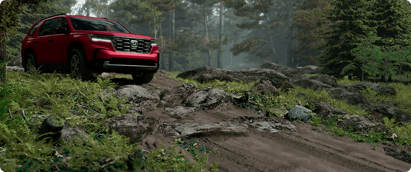 Finely Tuned Suspension