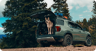 Hands-Free Access Power Tailgate