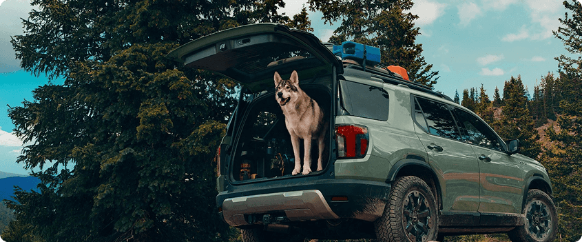 Hands-Free Access Power Tailgate