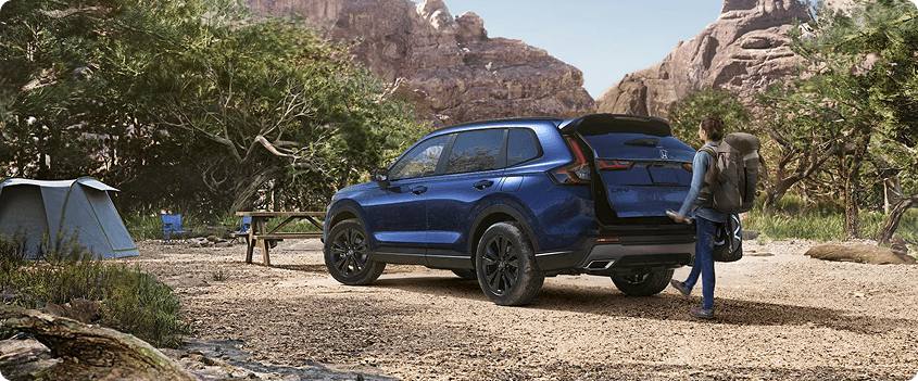 Hands-Free Access Power Tailgate