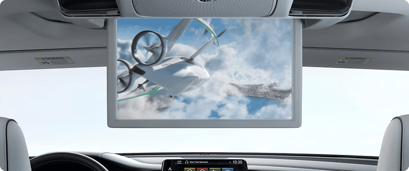 Rear Entertainment System