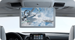 Rear Entertainment System