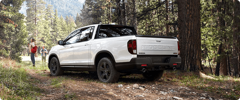 Rugged Good Looks