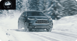 Snow Mode