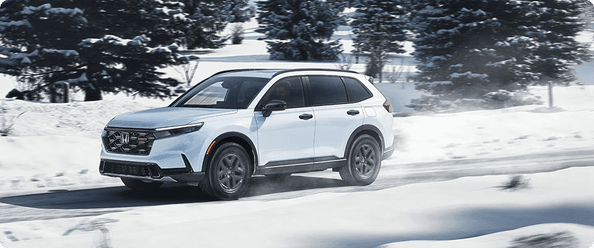 Snow Mode