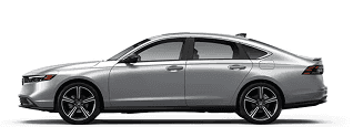 Sport Hybrid