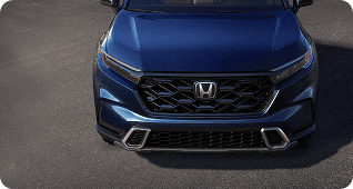 Sport Styling