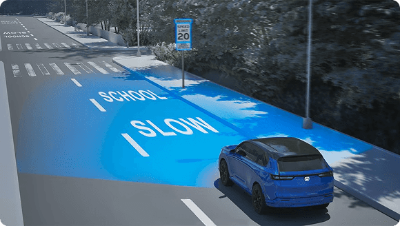 Traffic Sign Recognition (TSR)