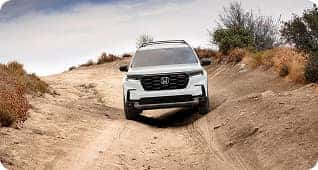 TrailSport