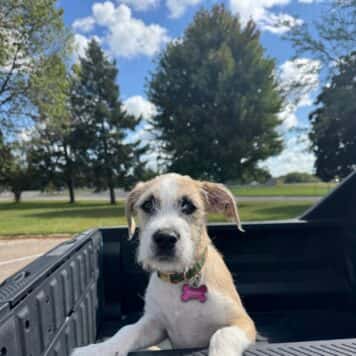 "Penny"