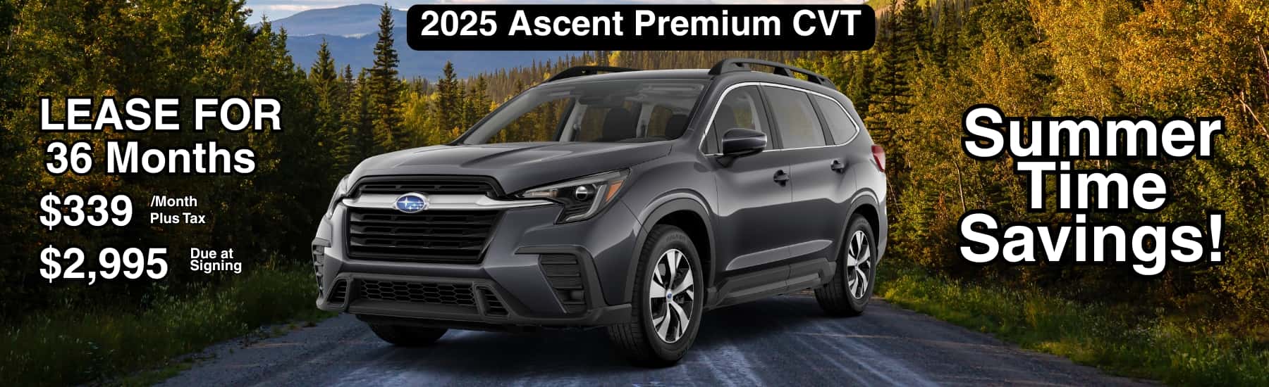Ascent-June-2025–1800-x-550-