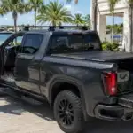 Palm-lined driveway with modern truck