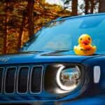 Jeep Ducks