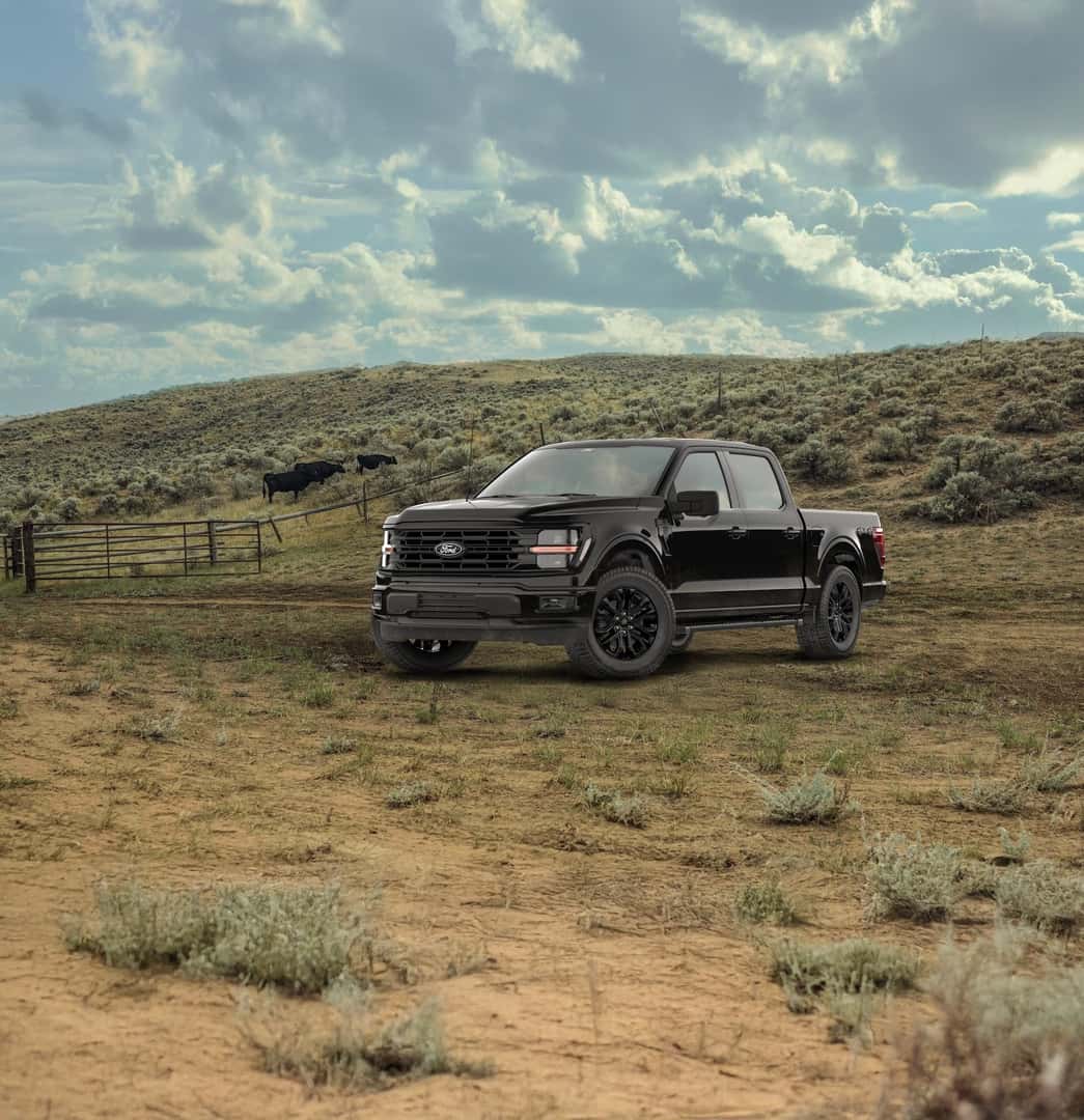 2026 Ford F150 Driver Side Profile in the Desert