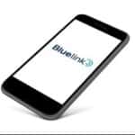 Hyundai Bluelink Remote Features