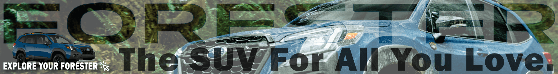 Forester banner