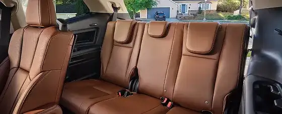Ascent interior detail