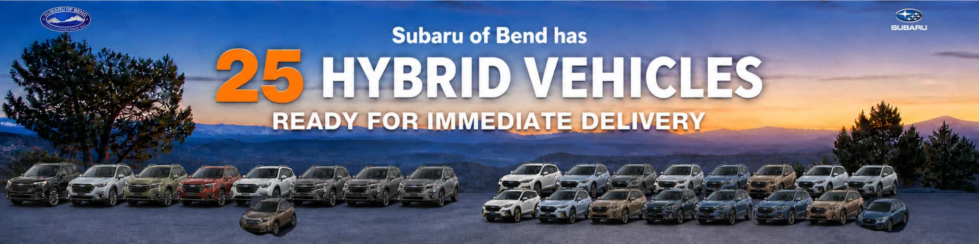 25 Hybrids In Stock