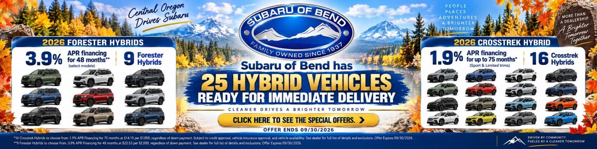 25 Hybrids In Stock 09-16