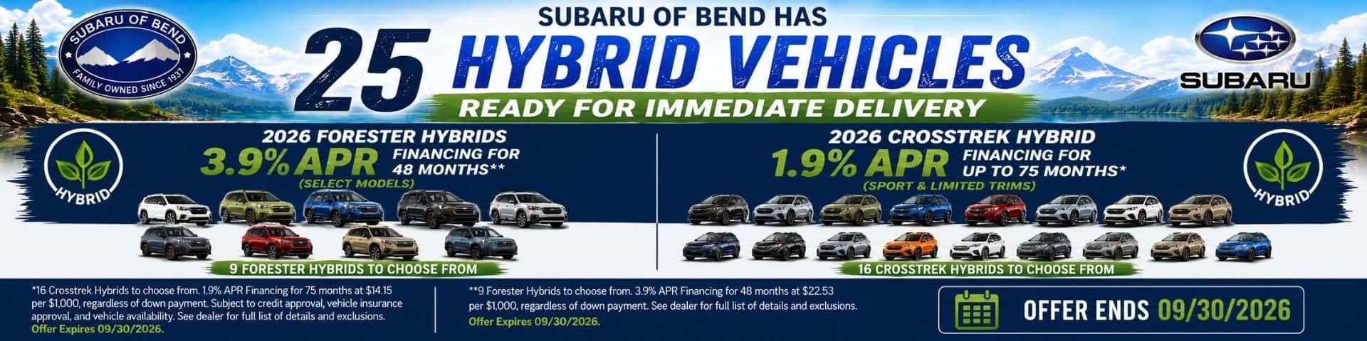 25 Hybrids In Stock 09-02