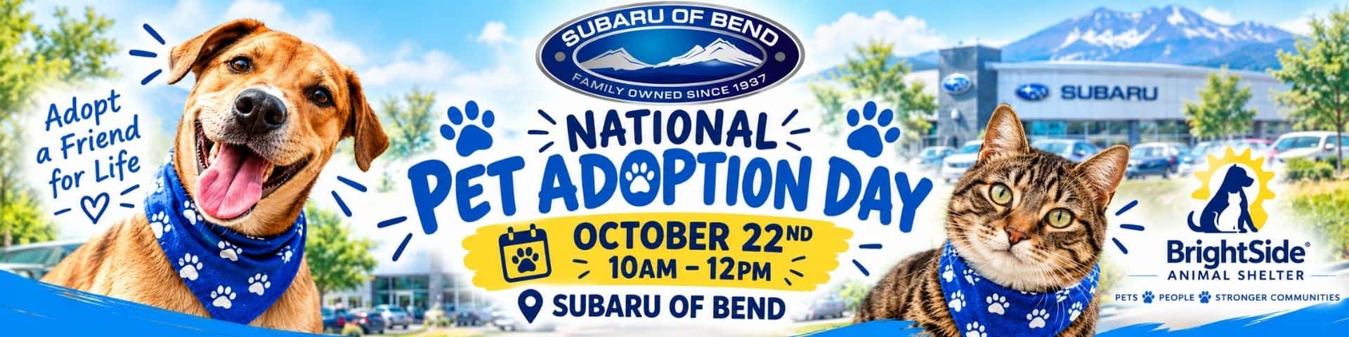 Subaru Dog Days 10-26
