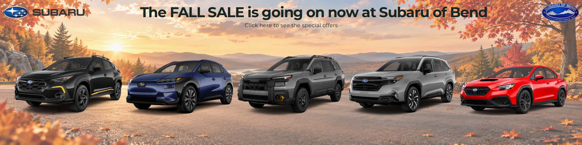 Fall Sale Offer