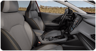 Advanced StarTex Upholstery