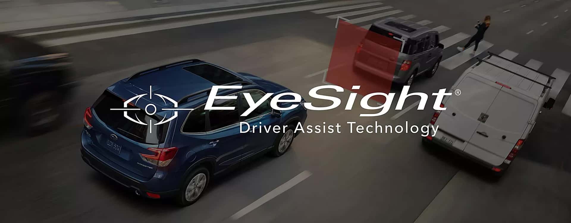 An extra set of eyes on the road and if need be, an extra foot on the brake when you drive.