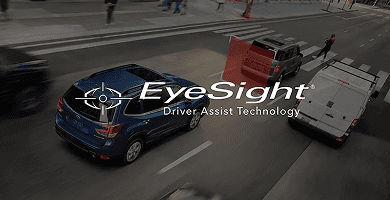 An extra set of eyes on the road and if need be, an extra foot on the brake when you drive.