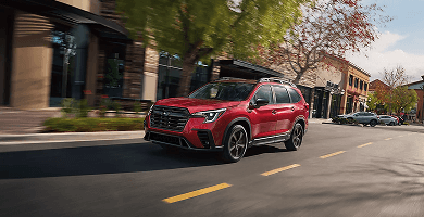 Bold Style Meets Premium Design