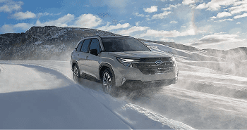 Capability and Efficiency