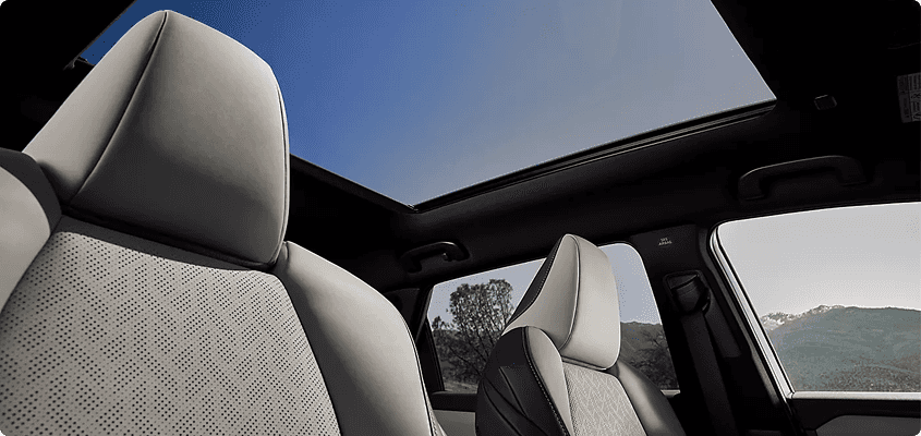 Panoramic Fixed Glass Roof