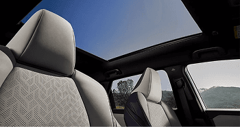 Panoramic Fixed Glass Roof