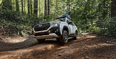 Up to 9.3 Inches of Ground Clearance