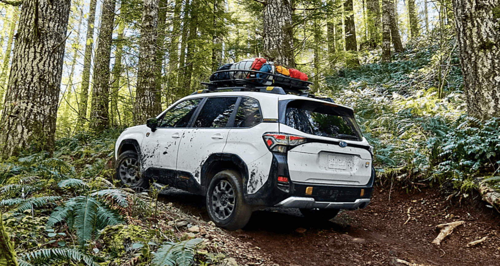 2026 Subaru Forester Wilderness for sale in Las Vegas at Findlay Subaru of Las Vegas