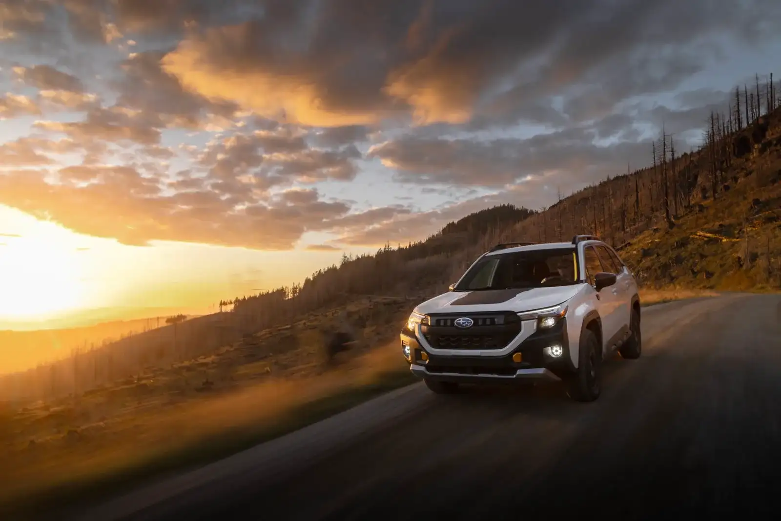 A 2026 Subaru Forester Wilderness driving a desert mountain road at golden hour, kicking up dust