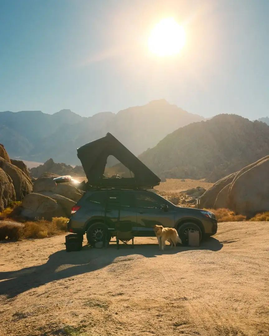 A Subaru Forester with rooftop tent and a dog in the Southwest desert at sunset — the kind of heat and sun-exposure conditions that shorten service intervals