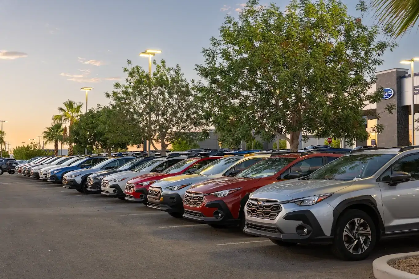 A full row of new Subaru SUVs on the lot at Findlay Subaru of Las Vegas at sunset, with the dealership building behind