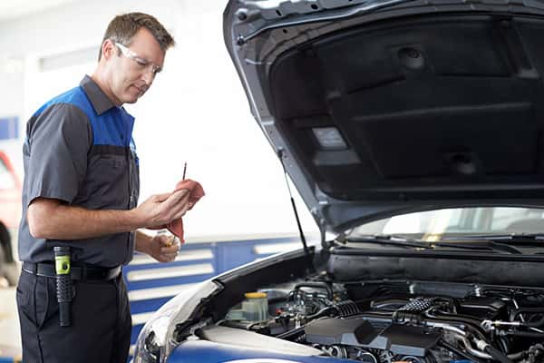 Service