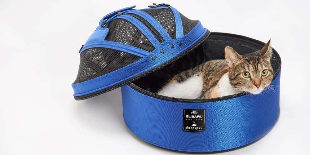 subaru pet carrier