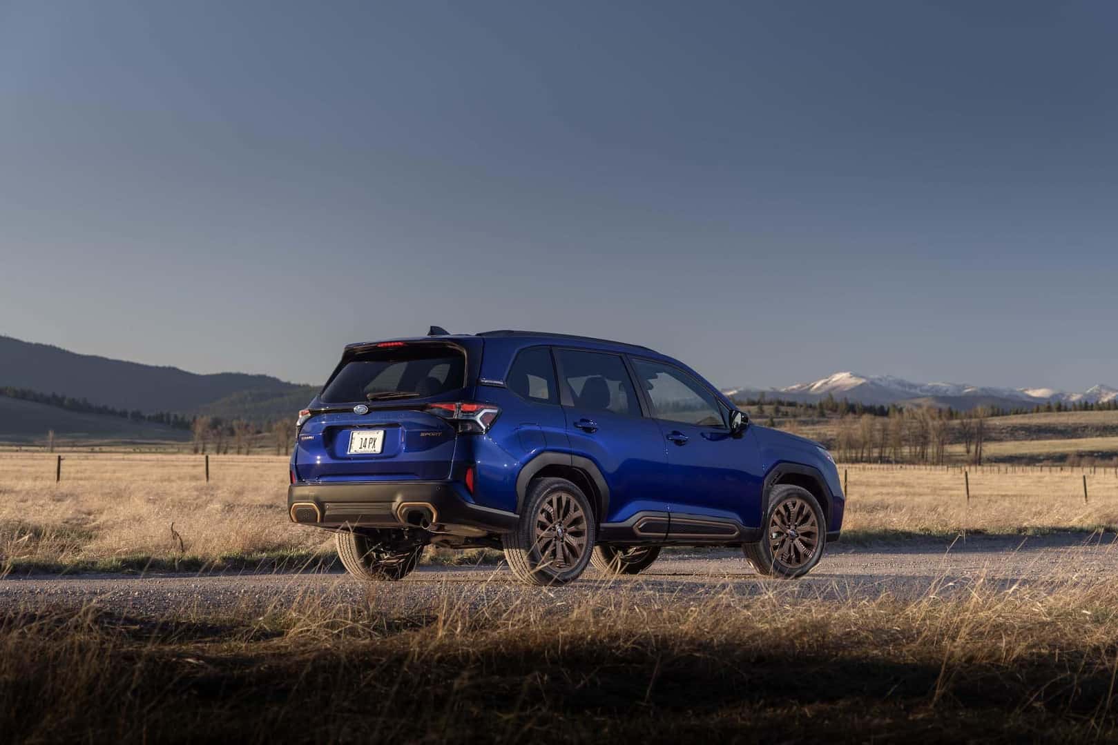 What Colors Are Available For The 2025 Subaru Forester New Model Info