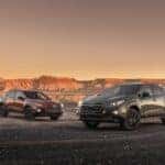 2024 Subaru Crosstrek Wilderness lineup