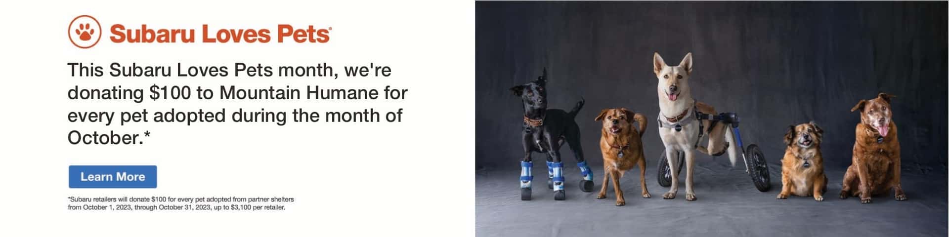 The Best Car Dealer Near Me Twin Falls Subaru in Twin Falls, ID