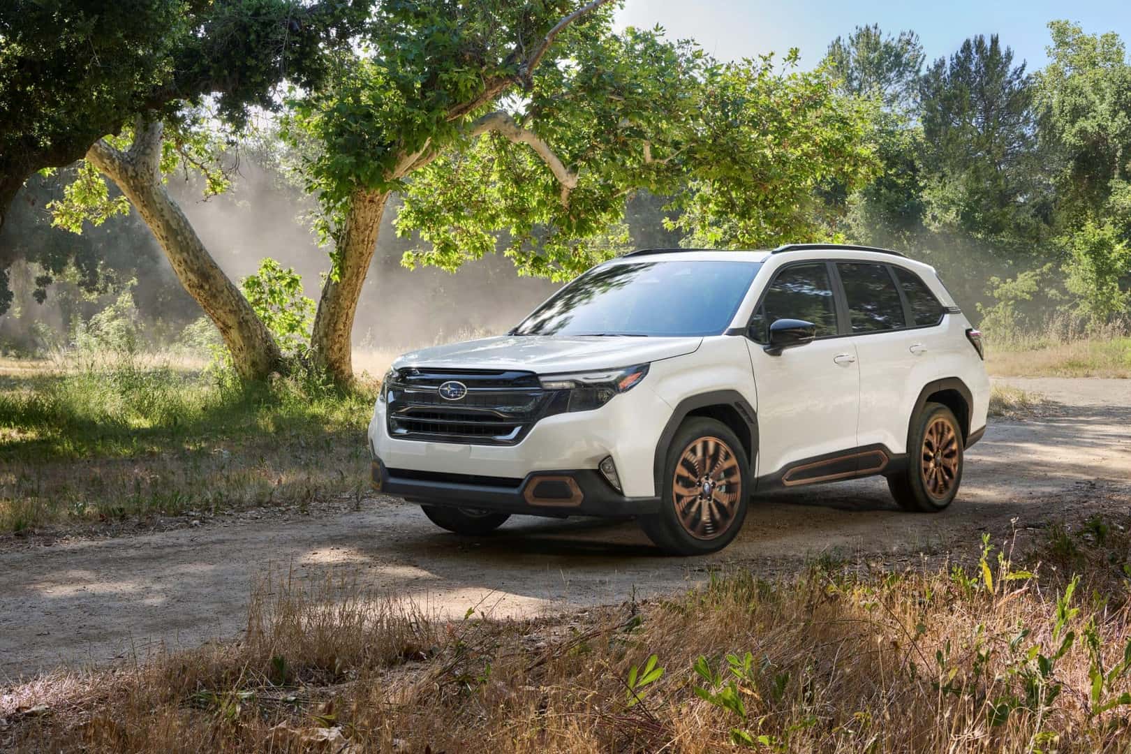 In A Gorgeous Forest, The 2025 Subaru Forester Is Strolling Along A Road