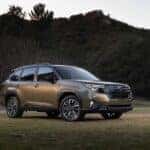 2025 Subaru Forester Hybrid Brilliant Bronze Metallic