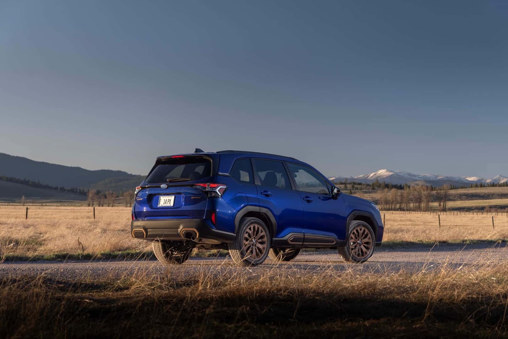 2026 Subaru Forester rear view